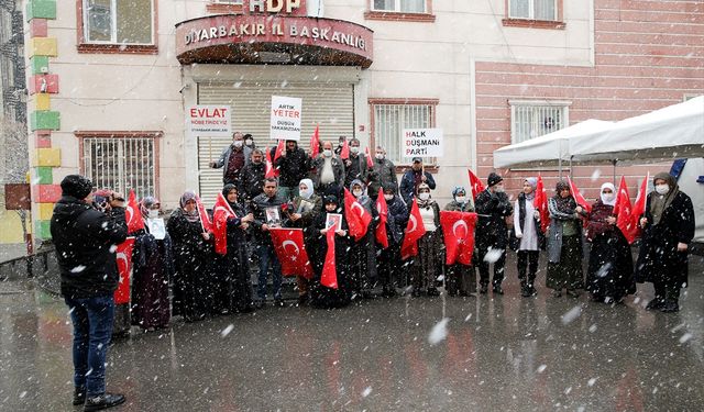 Diyarbakır annelerinin kar altında süren oturma eylemine 2 aile daha katıldı