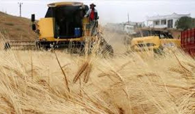 Rusya, tahıl ihracatını yasakladı