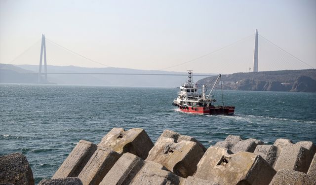 İstanbul'daki balıkçılar, Karadeniz'in batısında avlanmayı durdurma kararını değerlendirdi: