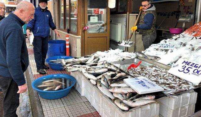 Karadeniz'deki kötü hava koşulları balıkçılığı olumsuz etkiledi