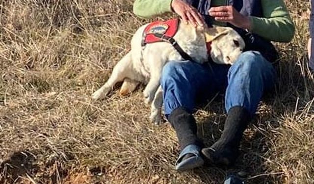 Kırklareli'de kaybolan yaşlı adam kendisini bulan iz takip köpeğine sarıldı