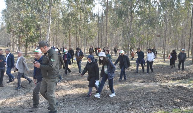 Mersin'de Karabucak Okaliptüs Ormanı Ekoturizm Parkuru açıldı