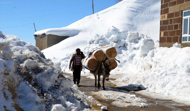 Muş'un karla kaplı köylerinde zorlu yaşam devam ediyor