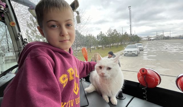 Rusya'nın savaş açtığı Ukrayna'dan 16 yaşındaki kedileri "Kar"ı da getirdiler