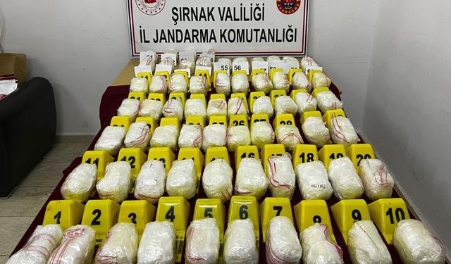 Şırnak'ta durdurulan tırda 33 kilogram uyuşturucu ele geçirildi