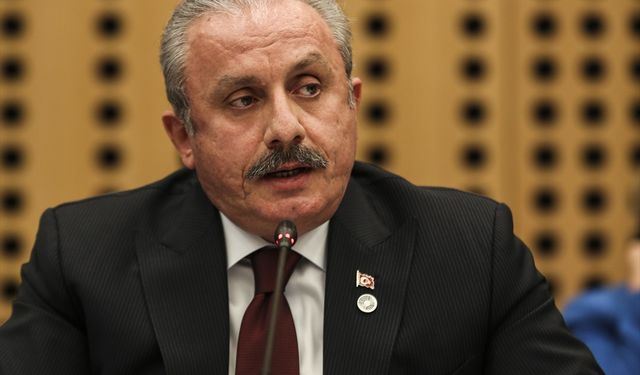 TBMM Başkanı Şentop, "AB PAB Sonuç Bildirgesi"nde Türkiye ile ilgili bölüme tepki gösterdi: