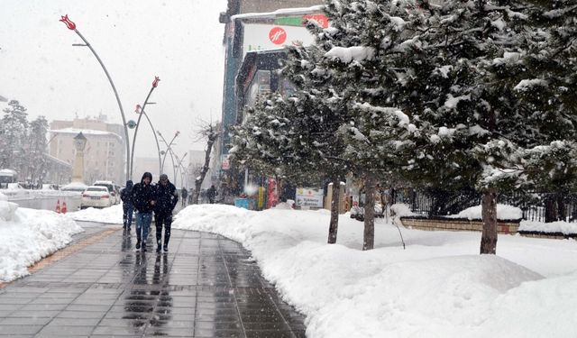 Van, Hakkari, Bitlis ve Muş'ta 961 yerleşimin yolu kardan kapandı