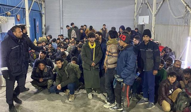 Ağrı'da kereste yüklü kamyonda 113 düzensiz göçmen yakalandı