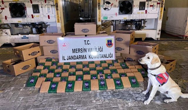 Bakan Soylu, Mersin Limanı'nda 258 kilogram kokain yakalandığını bildirdi