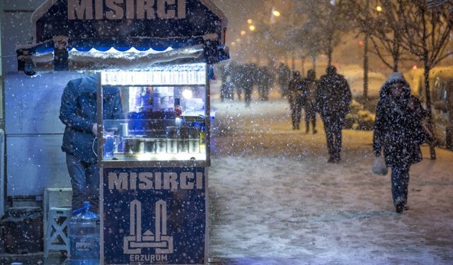 Erzurum, Ardahan ve Kars'ta kar yağışı etkili oldu