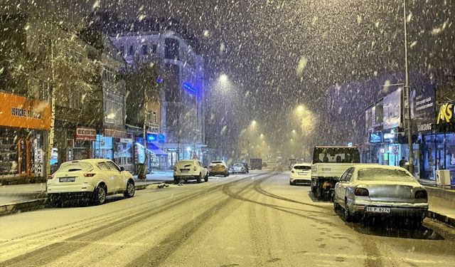 Erzurum ve Ardahan'da kuvvetli kar yağışı başladı