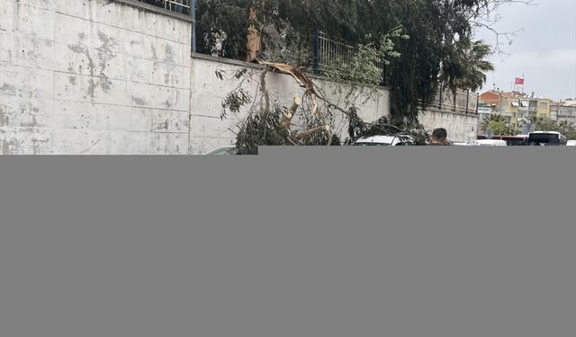 İzmir'de rüzgar nedeniyle 2 otomobilin üzerine ağaç devrildi