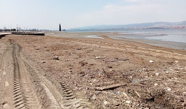 Kocaeli'de kumsalda kirliliğe neden olan besicilik firmasına 367 bin lira ceza