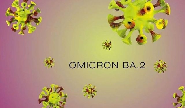 Omicron'un alt varyantı BA.2 risk oluşturuyor mu?