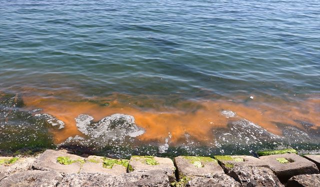 TEKİRDAĞ - Planktonların çoğalmasıyla deniz suyu turuncuya bürünmeye başladı