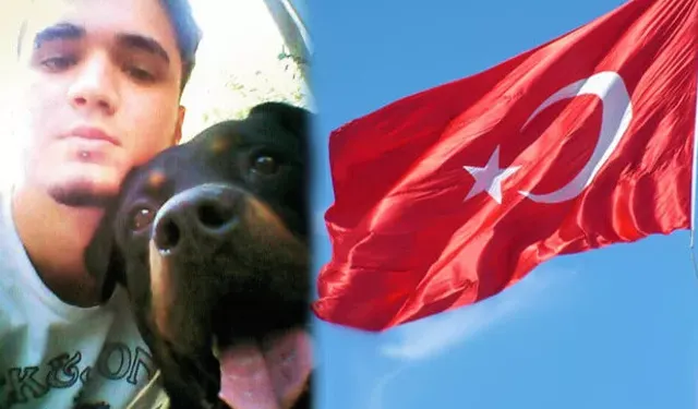 İstanbul Ataşehir'de köpeği bıçaklayıp sonra Türk bayrağına zarar verdi