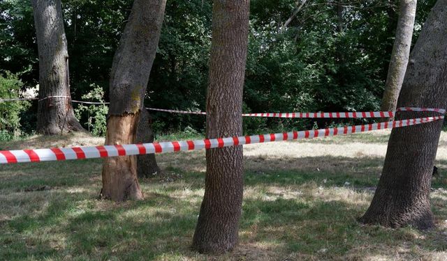 Edirne'de ormanlara giriş yasaklandı!