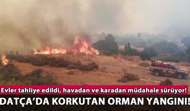 Datça'da korkutan orman yangını: Evler tahliye edildi, müdahale sürüyor!