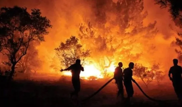 Fas'ın kuzeyindeki orman yangınlarında 3 kişi öldü