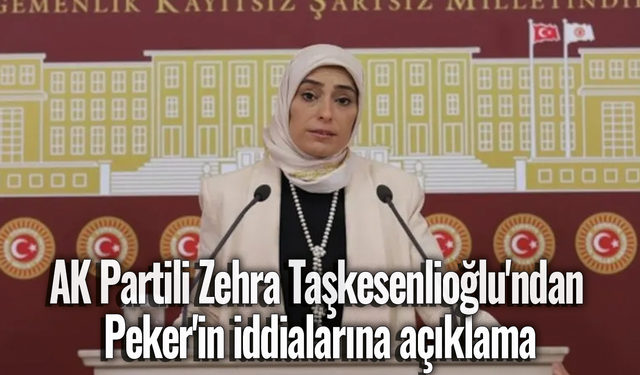 AK Partili Zehra Taşkesenlioğlu'ndan Peker'in iddialarına açıklama