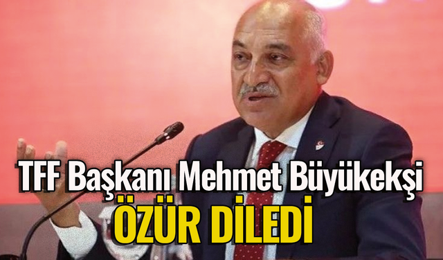 Beşiktaş taraftarı takımına sahip çıktı! TFF Başkanı özür diledi