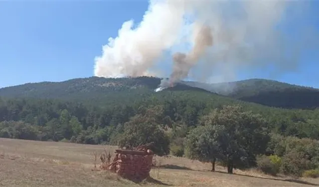 Eskişehir'de orman yangını kontrol altına alınamıyor!