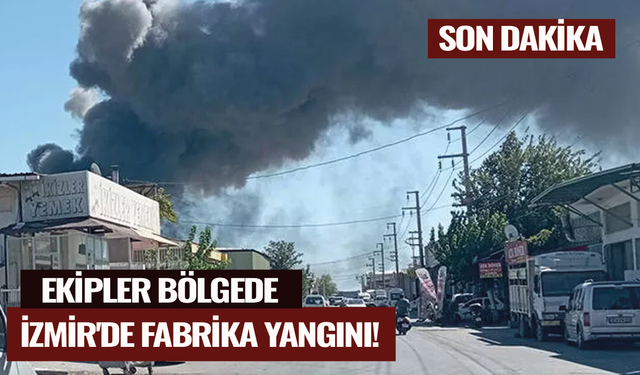 Son dakika... İzmir'de fabrika yangını! Ekipler bölgede