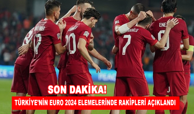 Son Dakika! Türkiye'nin EURO 2024 elemelerinde rakipleri açıklandı