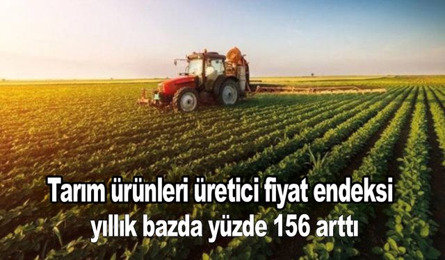 Tarım ürünleri üretici fiyat endeksi yıllık bazda yüzde 156 arttı