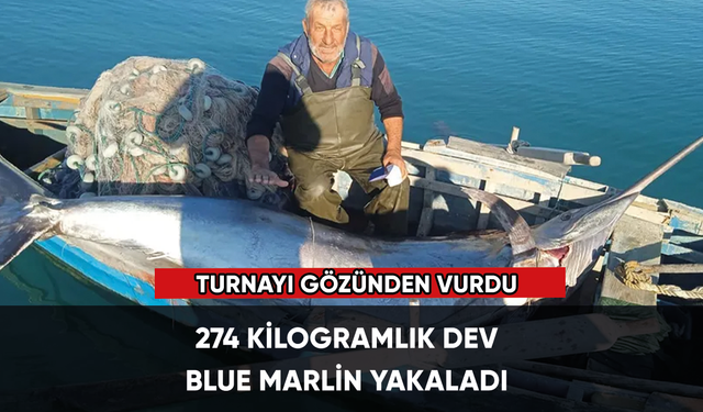 Adana'da balıkçıların ağına 274 kilogramlık dev balık takıldı