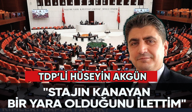 TDP'li Hüseyin Akgün: "Stajın kanayan bir yara olduğunu ilettim"