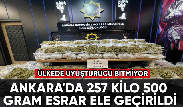 Ankara'da 257 kilo 500 gram esrar ele geçirildi