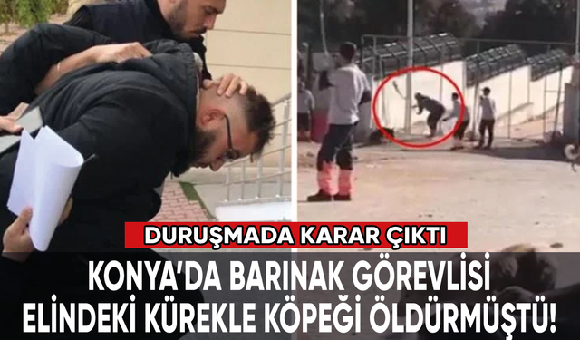 Konya'da barınaktaki köpeği kürekle öldürmüşlerdi: İlk duruşmada karar çıktı!