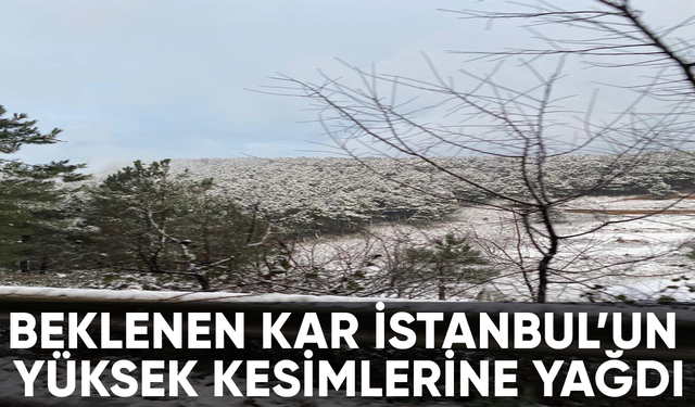 Beklenen kar İstanbul'a geldi Aydos Dağı beyaza büründü