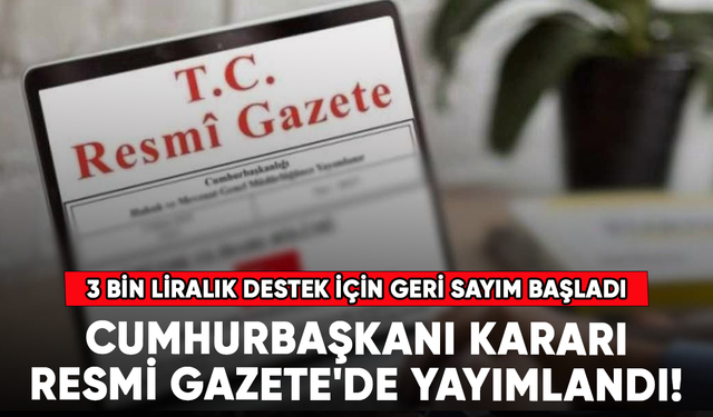 Cumhurbaşkanı kararı Resmi Gazete'de yayımlandı! 3 bin liralık destek için geri sayım başladı