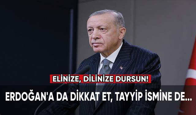 Erdoğan'a da dikkat et, Tayyip ismine de... Elinize, dilinize dursun!