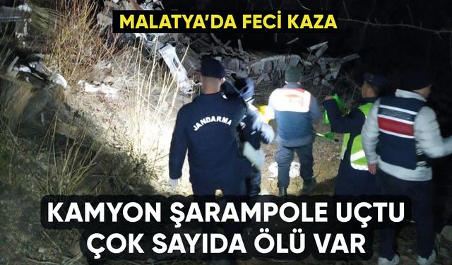 Malatya'da kayısı yüklü kamyon şarampole uçtu: Çok sayıda ölü var