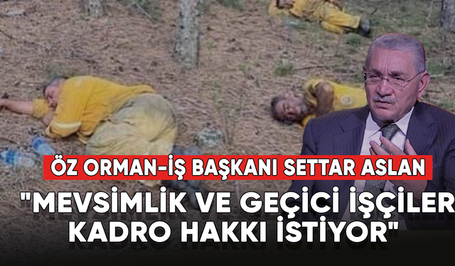 Öz Orman-İş Başkanı Aslan: "Geçici ve mevsimlik işçi kadro hakkı istiyor"