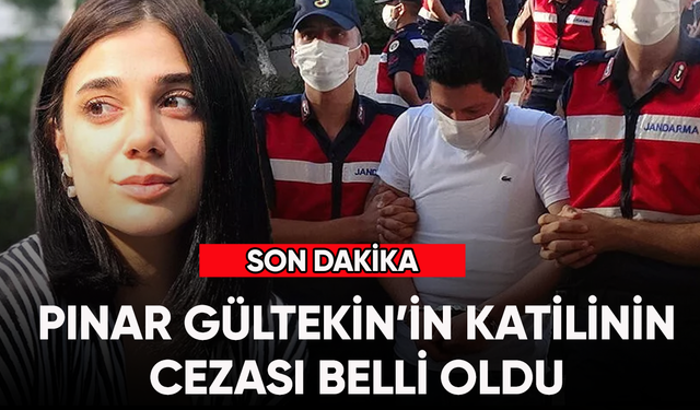 Pınar Gültekin'in katilinin cezası belli oldu!