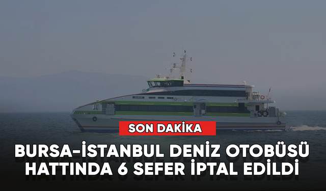Son dakika... Bursa-İstanbul deniz otobüsü hattında 6 sefer iptal edildi