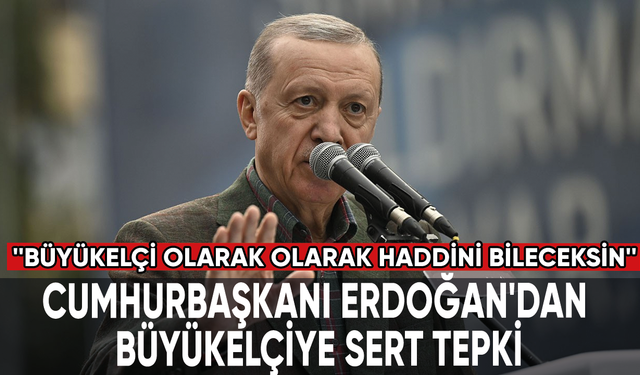 Cumhurbaşkanı Erdoğan'dan büyükelçiye sert tepki