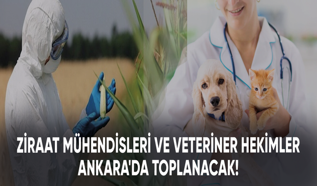 Ziraat mühendisleri ve Veteriner hekimler Ankara'da toplanacak!