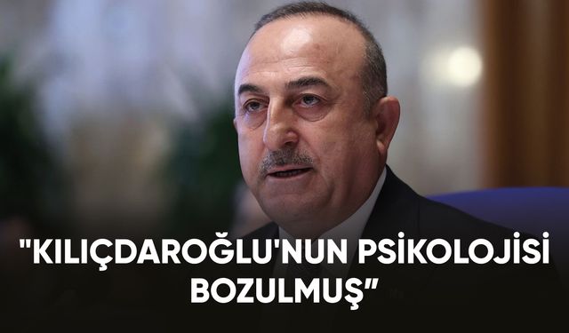 Bakan Çavuşoğlu, "Sinan Oğan'a gönül verenler" buluşmasına katıldı