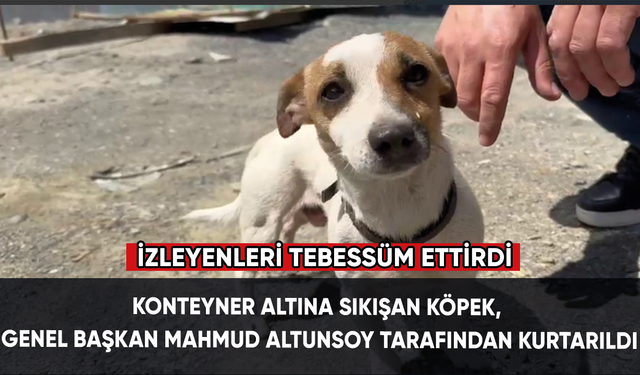 Konteyner altına sıkışan köpek, Genel Başkan Mahmud Altunsoy tarafından kurtarıldı