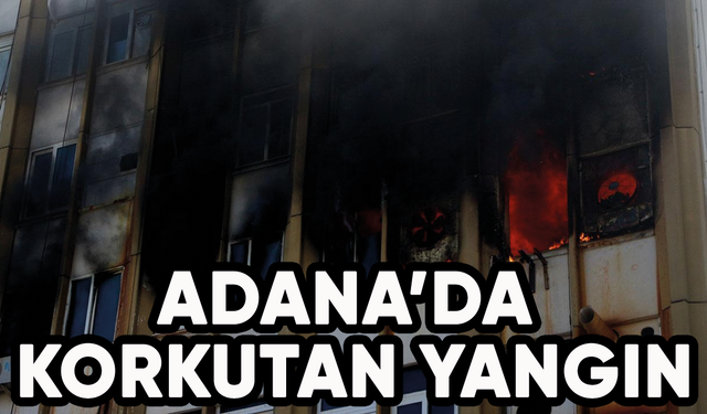 Adana'da korkutan yangın!