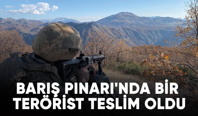 Barış Pınarı'nda bir terörist teslim oldu