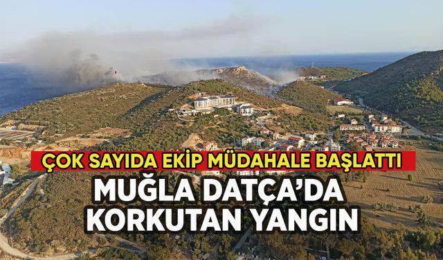 Muğla Datça'da korkutan yangın: Yerleşim yerlerine ilerledi!