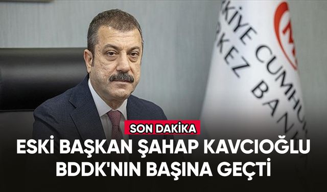 Şahap Kavcıoğlu, BDDK'nın başına geçti