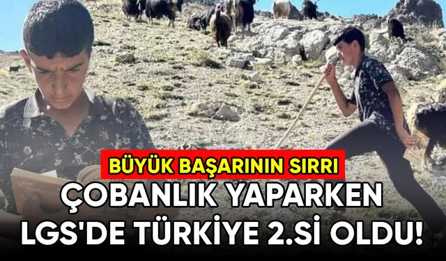 Çobanlık yaparken LGS'de Türkiye 2.si oldu! Başarısının sırrını tek tek açıkladı