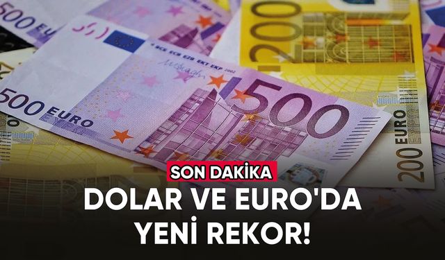 Dolar ve Euro'da yeni rekor!